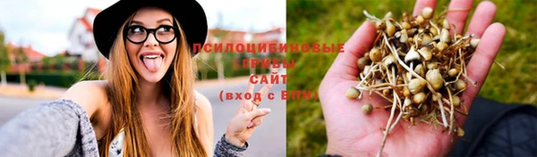 гидропоника Алзамай